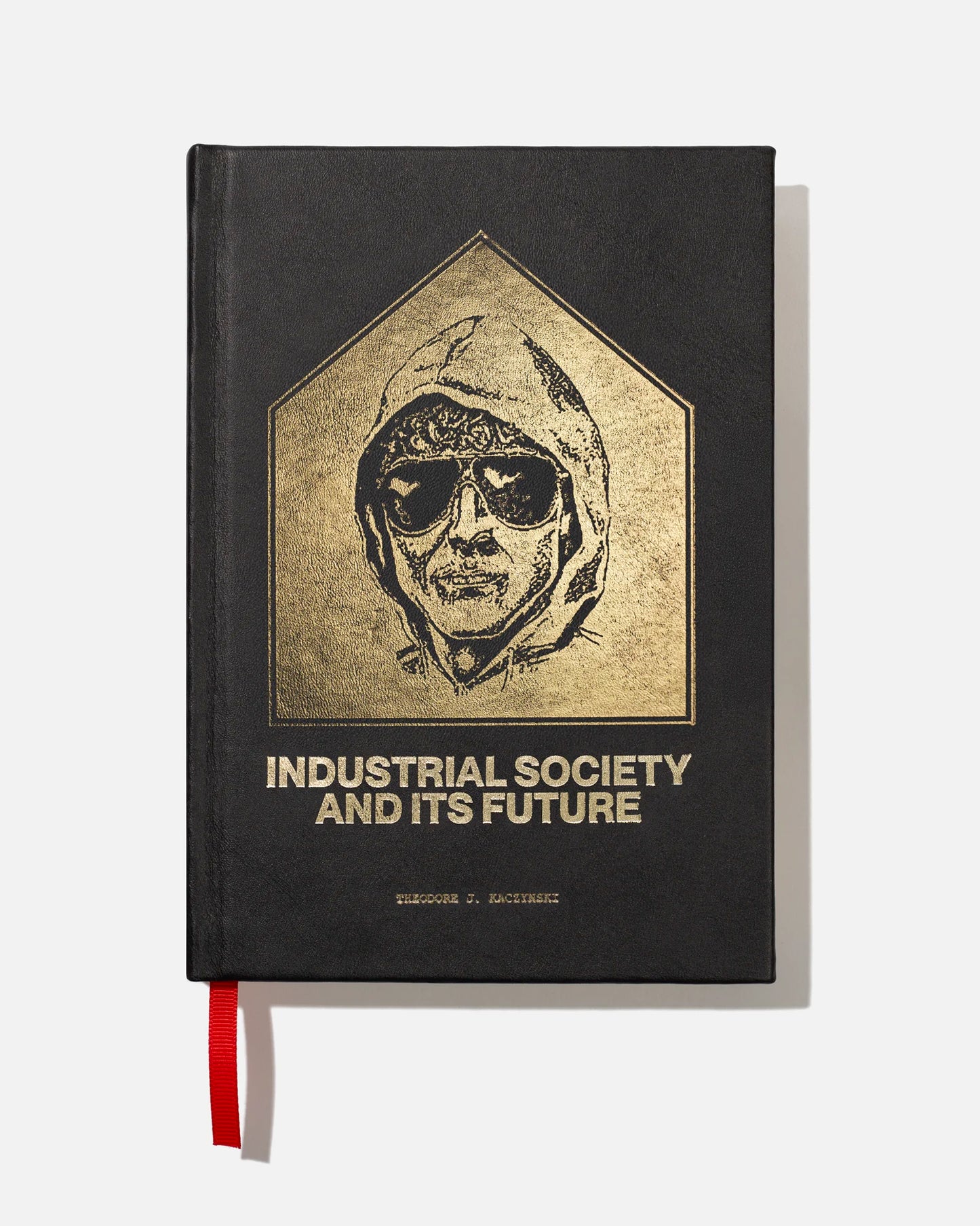 INDUSTRIAL SOCIETY AND ITS FUTURE