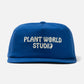 Wordmark Cap - Royal Blue